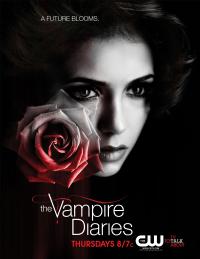 Дневники вампира  (2012) 4 сезон  25 серия сериал смотреть онлайн